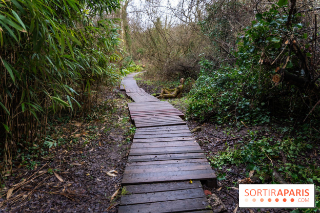 La source de l'Yvette : une statue mystérieuse dans les Yvelines - A7C05601