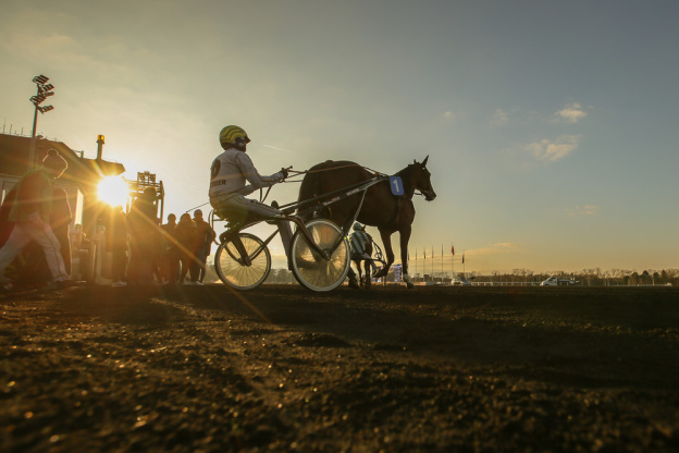 Carnavals de France à l’Hippodrome Paris-Vincennes : défilés, courses et Miss France 2026 - BVdV 2023 0212163953BV2 1096