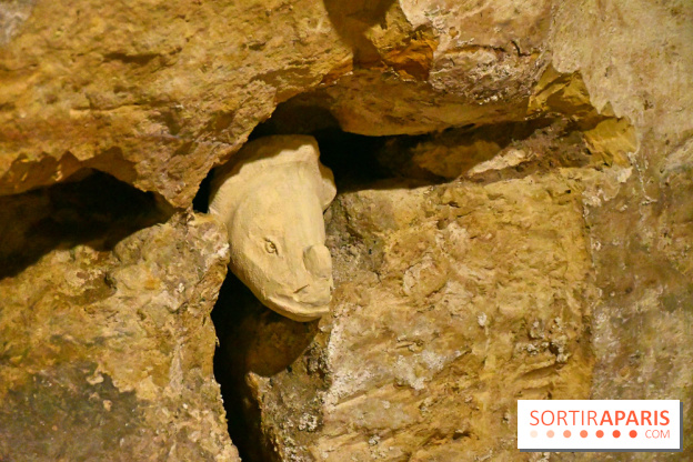 Les Caves du Roi, les mystérieux souterrains sous Sèvres - DSC 6266