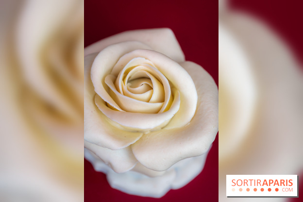 Saint-Valentin 2026 : la boulangerie - chocolaterie Pleincœur célèbre le mois de l'amour - A7C06050