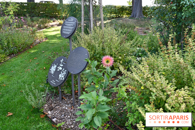 Le jardin des cinq sens à Pontoise, un lieu bucolique et sensoriel !