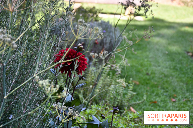 Le jardin des cinq sens à Pontoise, un lieu bucolique et sensoriel !