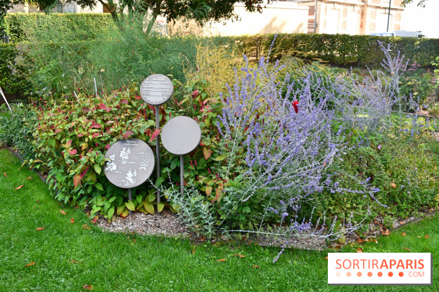 Le jardin des cinq sens à Pontoise, un lieu bucolique et sensoriel !