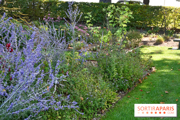 Le jardin des cinq sens à Pontoise, un lieu bucolique et sensoriel !