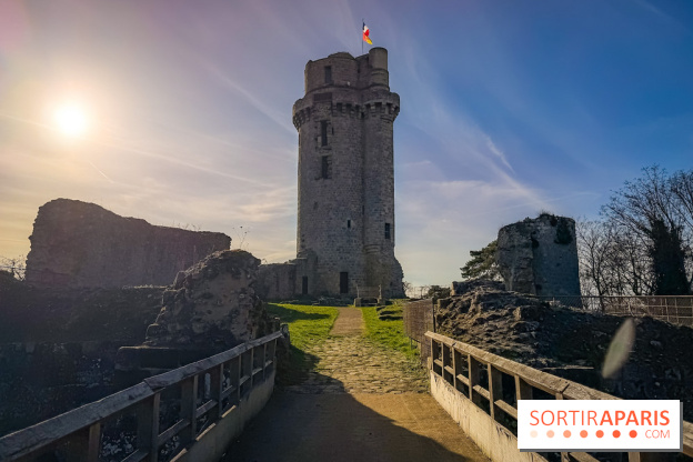 Ile-de-France : La Tour de Montlhéry au panorama unique sur l'Essonne
