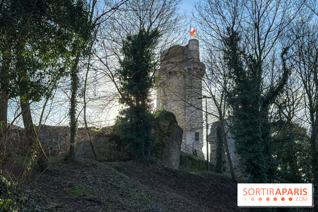 Ile-de-France : La Tour de Montlhéry au panorama unique sur l'Essonne - Flow IMG 20260208 152844 01 125