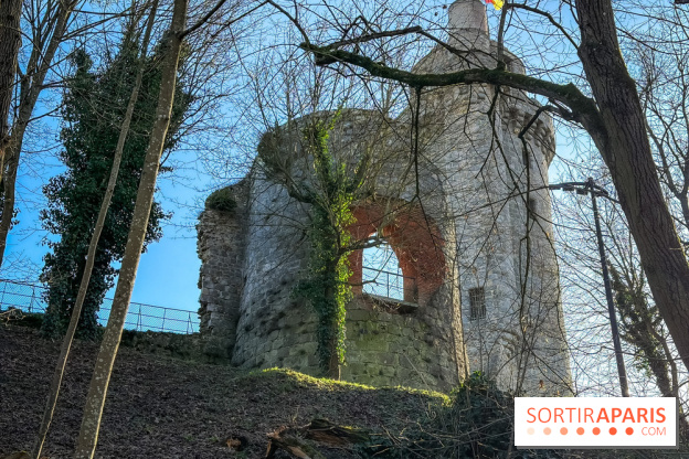 Ile-de-France : La Tour de Montlhéry au panorama unique sur l'Essonne - Flow 151254 01 117