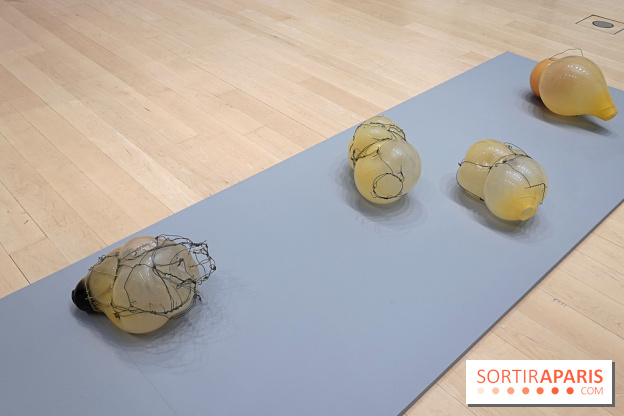 Exposition Contraste et indifférence au Centre culturel canadien - nos photos