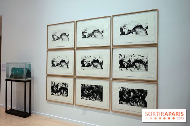 Exposition Contraste et indifférence au Centre culturel canadien - nos photos