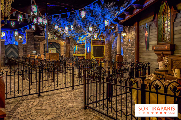 Frozen Ever After : l'attraction La Reine des Neiges à Disneyland Paris - IMG 3836