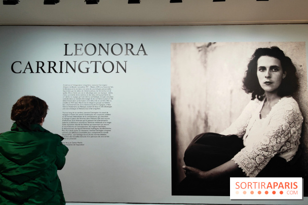 Leonora Carrington, l'exposition onirique d'une artiste surréaliste au musée du Luxembourg, photos - fotor 1771255254108