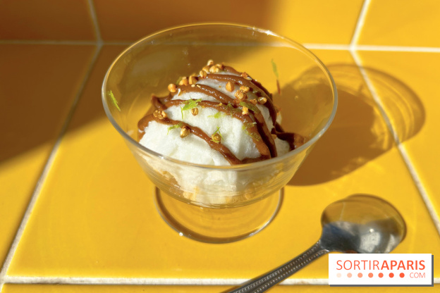 Tout Day - Ile flottante ail noir