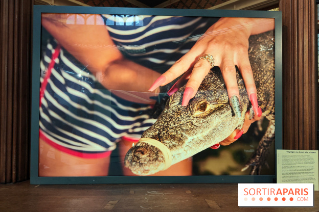 All Inclusive : la photographe Kourtney Roy interroge le tourisme dans une exposition à Citéco - fotor 1771496691011