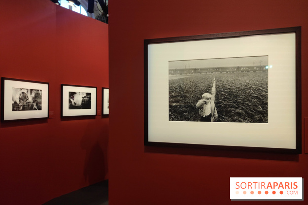 Sebastião Salgado au cœur d'une exposition de photos gratuite à l'Hôtel de Ville de Paris