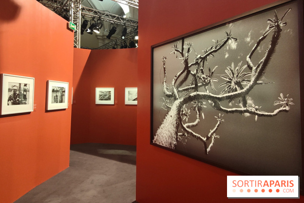 Sebastião Salgado au cœur d'une exposition de photos gratuite à l'Hôtel de Ville de Paris