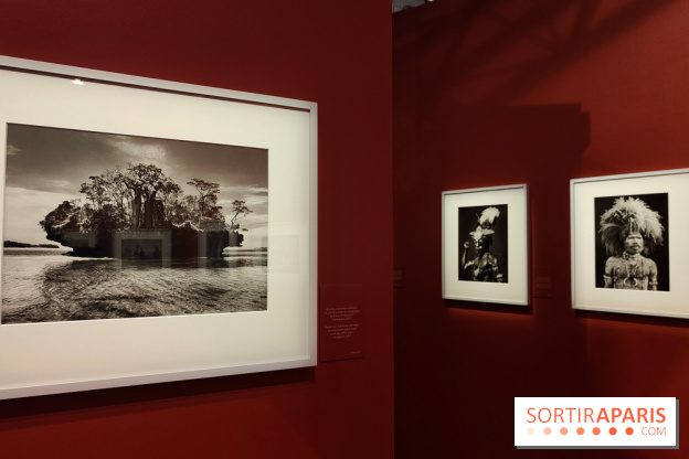 Sebastião Salgado au cœur d'une exposition de photos gratuite à l'Hôtel de Ville de Paris