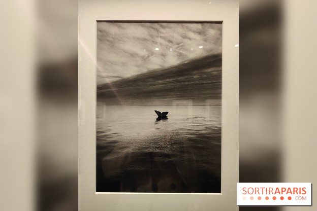 Sebastião Salgado au cœur d'une exposition de photos gratuite à l'Hôtel de Ville de Paris
