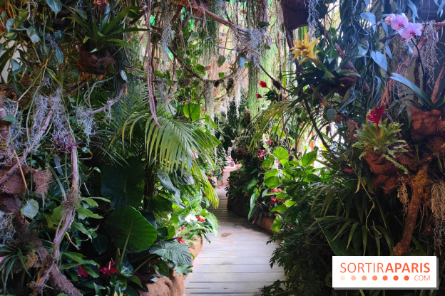 Sebastião Salgado au cœur d'une exposition de photos gratuite à l'Hôtel de Ville de Paris - fotor 1771520527216