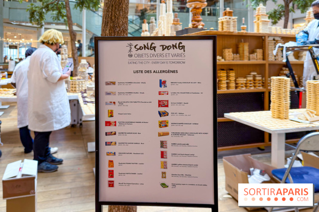 Song Dong  - IMG 4188