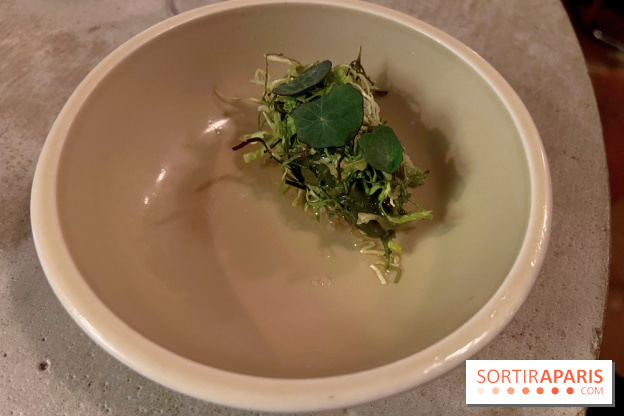 Vivide - Sorbet aux herbes 