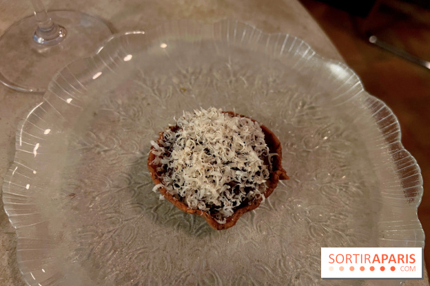 Vivide - Tout noisette