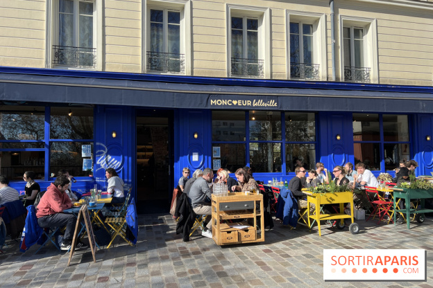 Moncœur Belleville - Terrasse vue Paris
