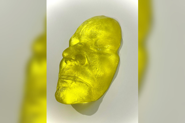 Exposition " Biegas et l’Ukraine " : une immersion artistique à la Bibliothèque Polonaise de Paris