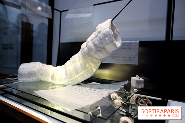 Exposition Clair-obscur à la Bourse de Commerce, nos photos