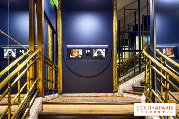 Pour Toujours, exposition de Maurizio Catelan aux Galeries Lafayette - IMG 5800