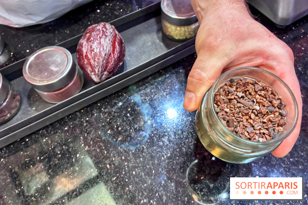 Atelier rocher praliné Edwart Chocolatier
