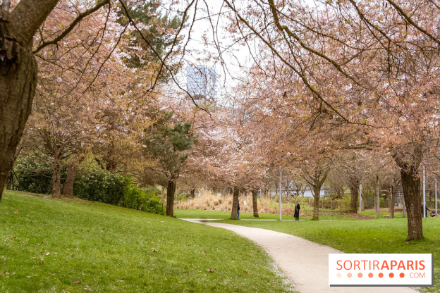 Les cerisiers du parc Martin Luther King - Clichy - Batignoles
