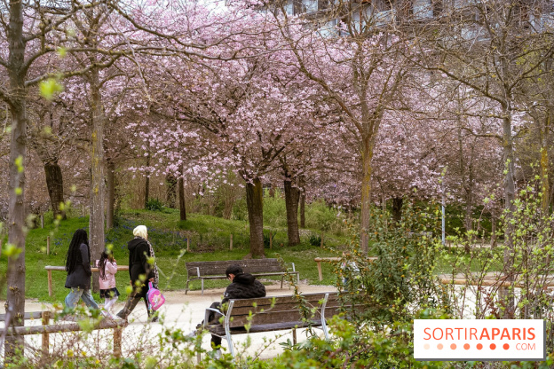 Les cerisiers du parc Martin Luther King - Clichy - Batignoles