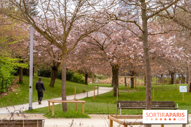 Les cerisiers du parc Martin Luther King - Clichy - Batignoles