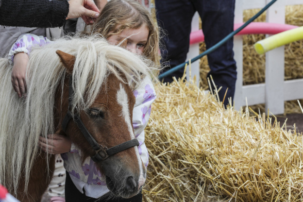 La Fête du Cheval, une journée familiale à l’Hippodrome d’Enghien-Soisy - BV 20250913143708BV1 8479