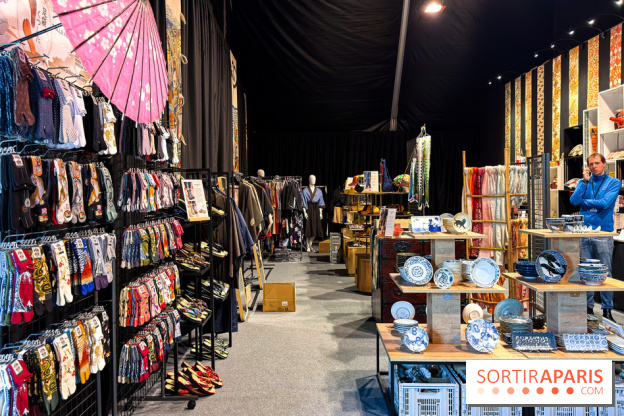 Passion Japon : exposition, installations immersives et street food japonaise à La Villette, à Paris - IMG 7533