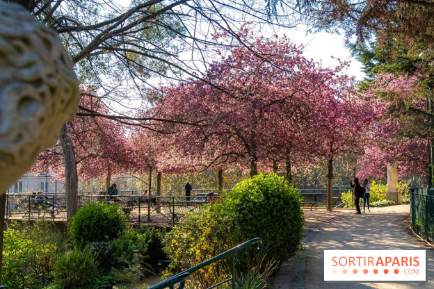 Les pommiers et cerisiers en fleurs du Jardin de Reuilly, Parc de Reuilly à Paris 12e - photos