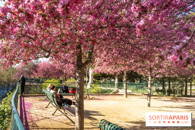 Les pommiers et cerisiers en fleurs du Jardin de Reuilly, Parc de Reuilly à Paris 12e - photos  - détente