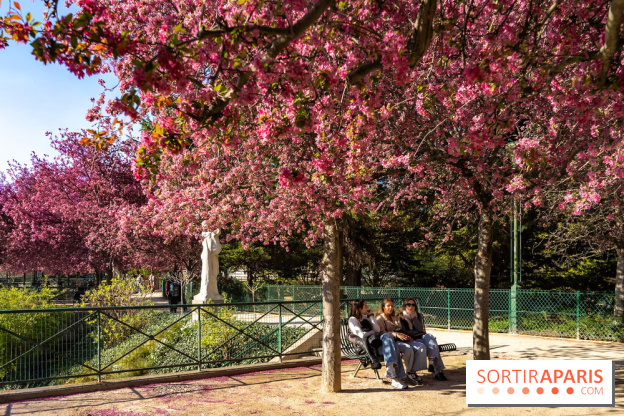 Les pommiers et cerisiers en fleurs du Jardin de Reuilly, Parc de Reuilly à Paris 12e - photos