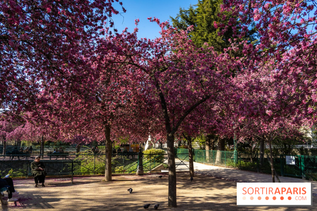 Les pommiers et cerisiers en fleurs du Jardin de Reuilly, Parc de Reuilly à Paris 12e - photos