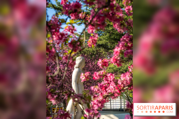 Les pommiers et cerisiers en fleurs du Jardin de Reuilly, Parc de Reuilly à Paris 12e - photos
