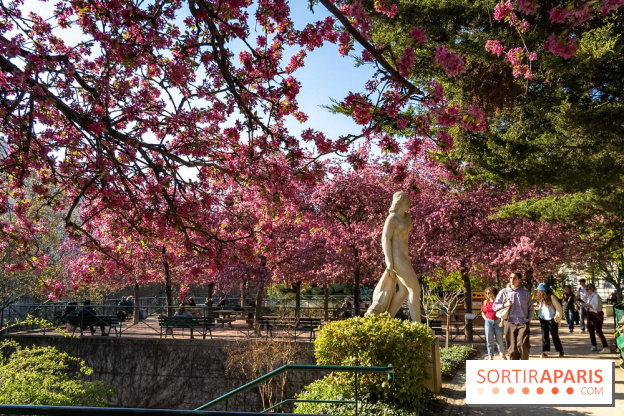 Les pommiers et cerisiers en fleurs du Jardin de Reuilly, Parc de Reuilly à Paris 12e - photos