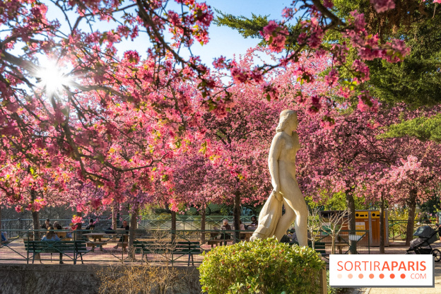 Les pommiers et cerisiers en fleurs du Jardin de Reuilly, Parc de Reuilly à Paris 12e - photos  - visuel