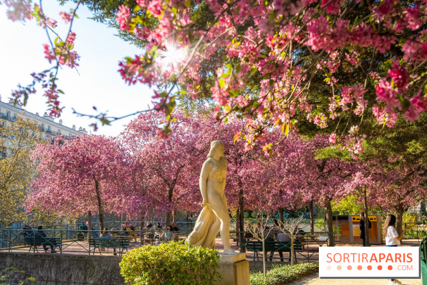 Les pommiers et cerisiers en fleurs du Jardin de Reuilly, Parc de Reuilly à Paris 12e - photos  - visuel