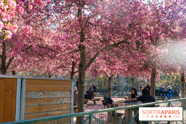 Les pommiers et cerisiers en fleurs du Jardin de Reuilly, Parc de Reuilly à Paris 12e - photos  - jouer