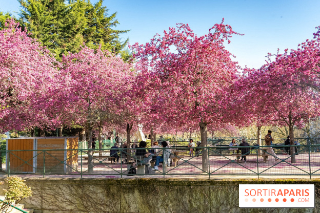 Les pommiers et cerisiers en fleurs du Jardin de Reuilly, Parc de Reuilly à Paris 12e - photos  - table pique nique 