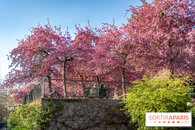 Les pommiers et cerisiers en fleurs du Jardin de Reuilly, Parc de Reuilly à Paris 12e - photos