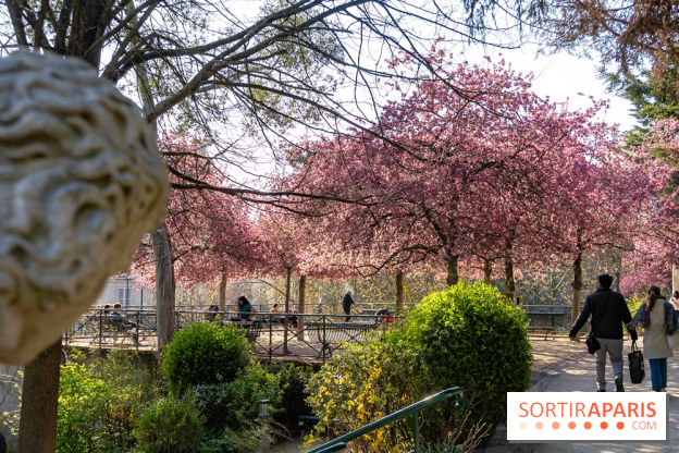 Les pommiers et cerisiers en fleurs du Jardin de Reuilly, Parc de Reuilly à Paris 12e - photos
