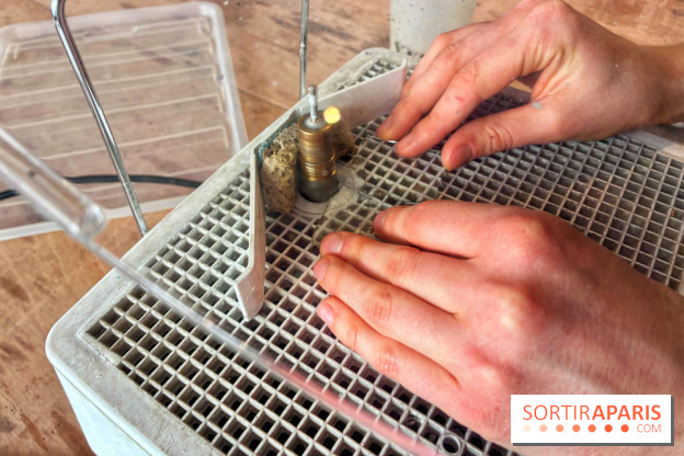 Atelier vitrail - IMG 4244