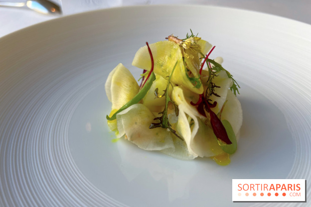 Alliance - Tourteau en fine raviole de radis, mayonnaise maison, huile curry, pomme verte 