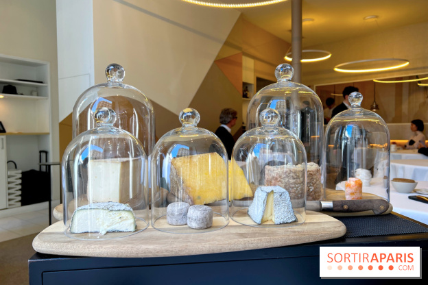 Alliance - Crottin cendré, Vermenton, Langres, Fourme d'Ambert, Laguiole, tomme de brebis